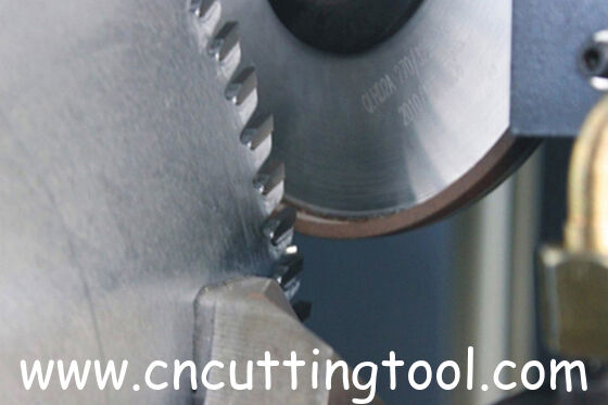 CNC control circular saw blade carbide tips tooth side grinding machine